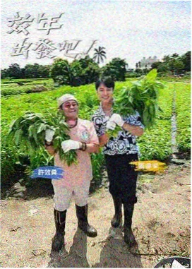 综艺现场合集 慢综艺封面